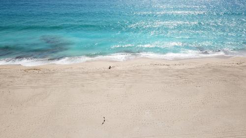 ImagenApto Moderno Tranquilo Viña 1