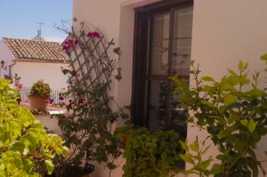 ImagenPenthouse Puerta de la Judería 6