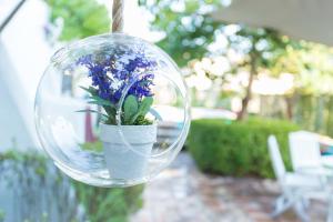 ImagenCarmen Vistas de la Alhambra 4