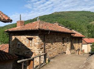 ImagenElpajardeportilla 7