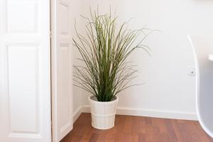 ImagenSunny Malaga Apartments 6