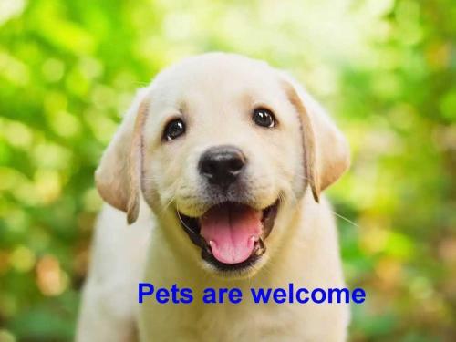 ImagenApartamento Centro Histórico I 2