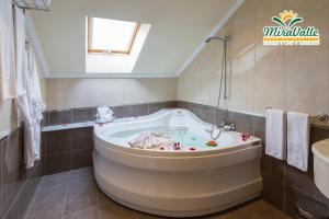 ImagenHotel MIRAVALLE 3