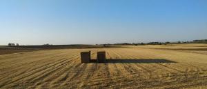 Imagenalbergue camino real 5