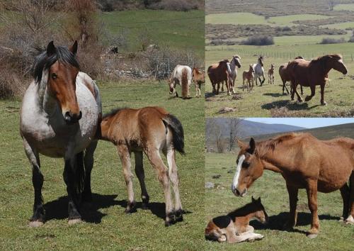 ImagenJardín Mandala - Hotel Rural
