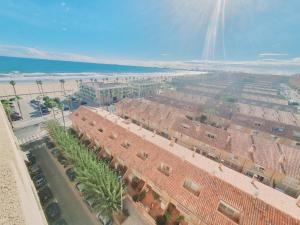 ImagenPatacona Green Holiday 5