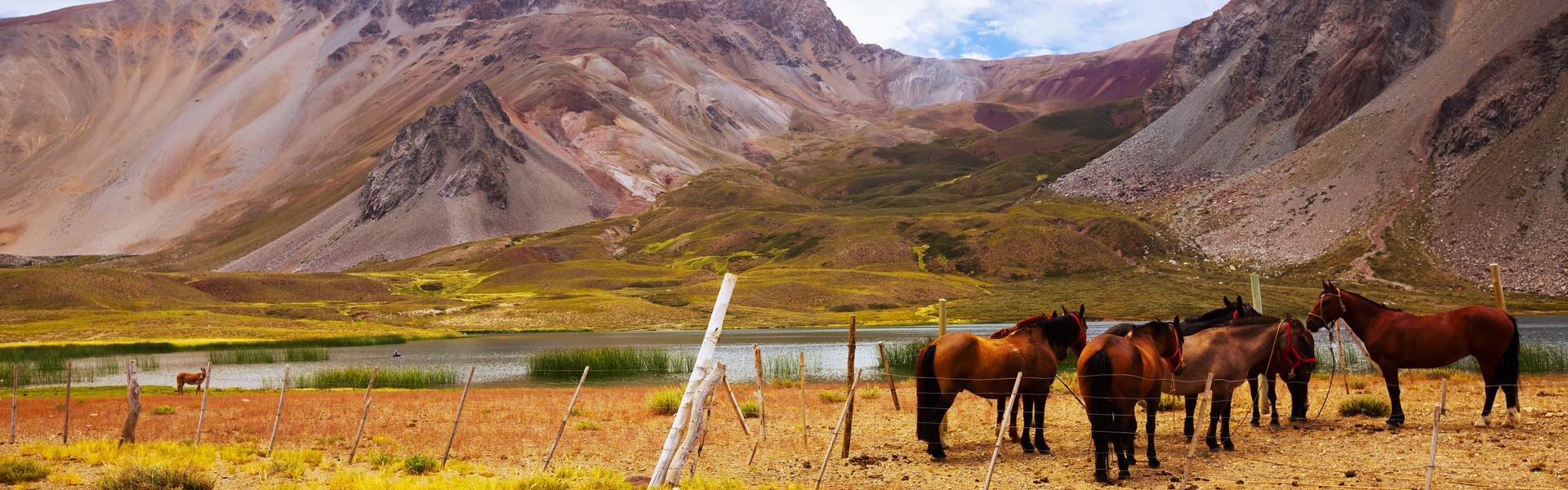 Excursión caballo Andes - Las mejores actividades en Vipealo, image size:1920x600