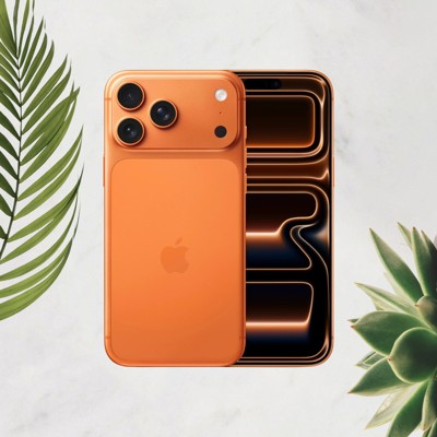 iPhone 17 Pro Max image