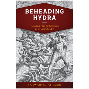 Beheading Hydra: A Radical Plan for Christians