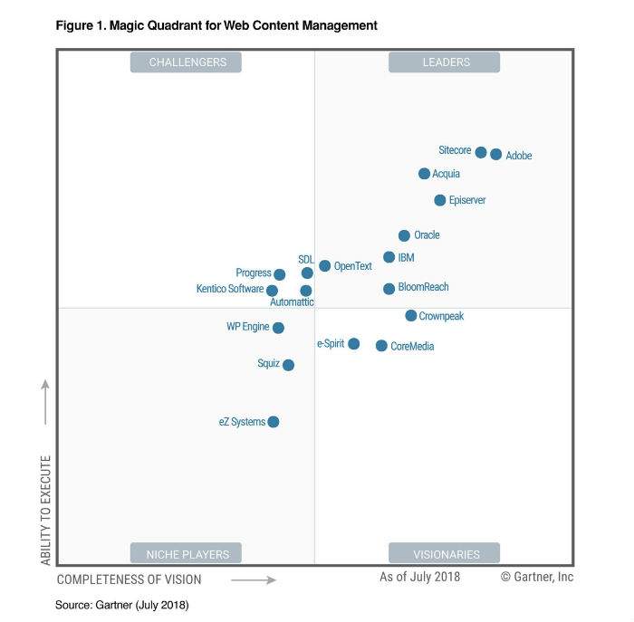 Diagrama estrat&eacute;gico de varios pasos que visualiza los par&aacute;metros clave para la expansi&oacute;n de un negocio digital.