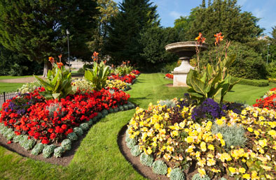 Landscaping Specials