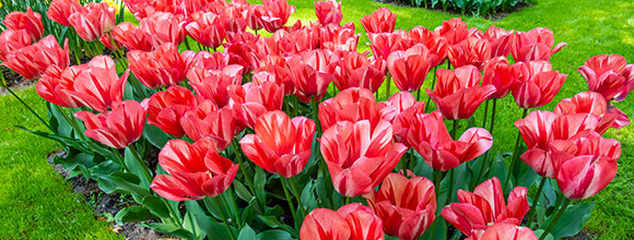 See What's new This Season