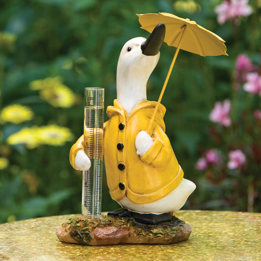 Goose Rain Gauge Spilsbury