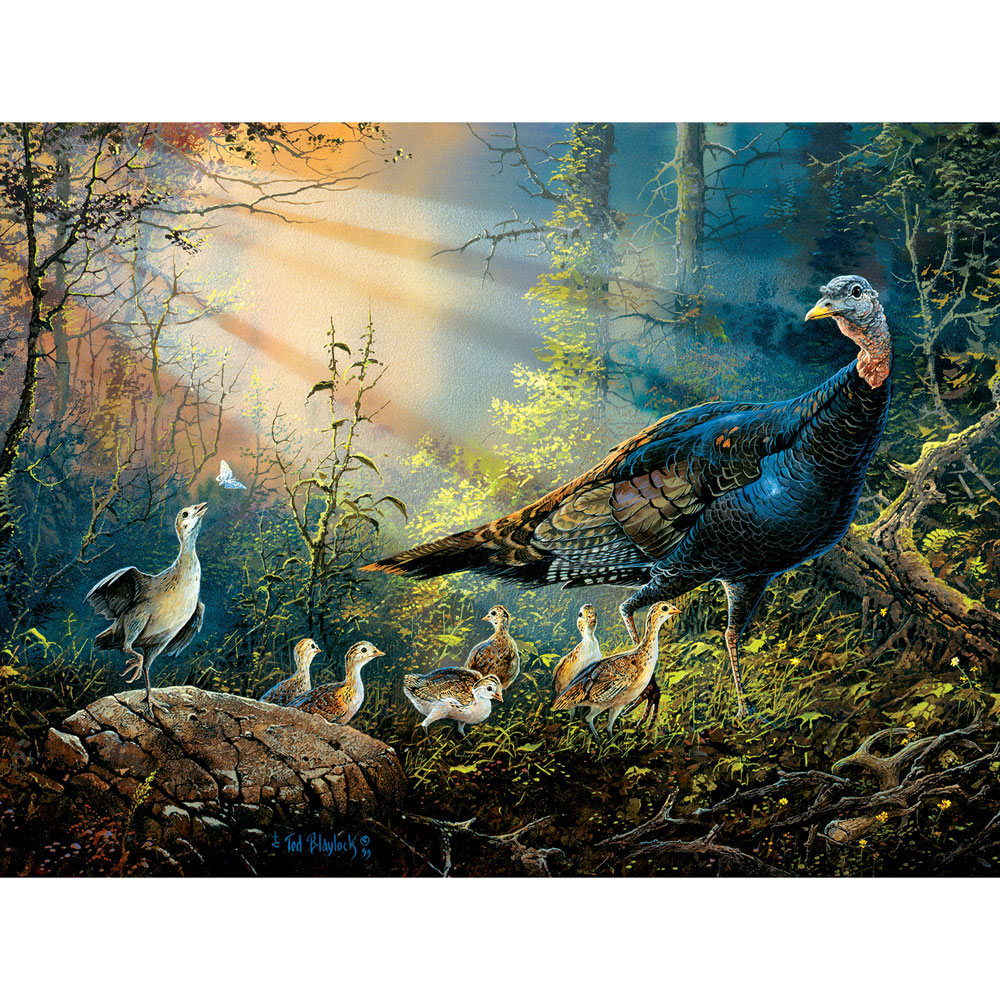 Turkey in the Sunray 300 Large Piece Jigsaw Puzzle Spilsbury