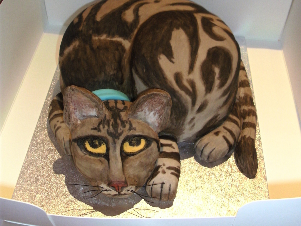 bengal cat cake