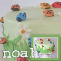 Noah Okay. This is definitely my fav cake yet - it was sooo FUN to do! I had a blast making the ladybugs - who would have thought bugs were so...