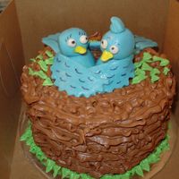 Bluebirds Small birthday cake for a bird lover. Got inspiration from similar cakes on this site. MMF birds.