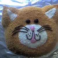 03-10-07_1630.jpg My first Kitty Kat Kake :O)