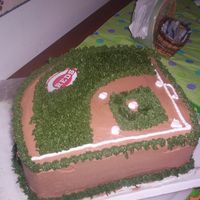 Markbdb.jpg Baseball Field for a Cin. Reds fan's birthday.