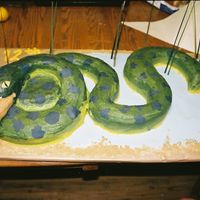Hungry Anaconda For my nephew's 12th birthday. He wanted a anaconda that was eating him. Fun cake. feet and legs are rice crispies covered in fondant...