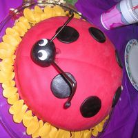 Lady Bird Marzipan cake filled with whipped cream and raspberry jelly