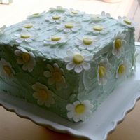 Daisy Birthday Cake Buttercream with MMF daisies.