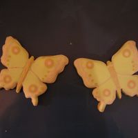 Butterflies 