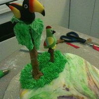 Tucan Parrot and tucan
