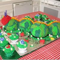 The Very Hungry Caterpillar This was for my baby's first birthday...a garden theme. (Her name is Ivy!) Used the ball pan and had coordinating cupcakes. Missing on...