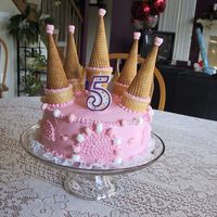 Princess Castle Made special for my nieces 5th birthday... She is a princess!!