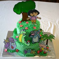 Dora Buttercream cake with RIT.