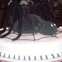 Spider Cake White cake covered in butter cream. Spider-used ball mold, chocolate cake covered in chocolate buttercream stars. Black pipe cleaners used...
