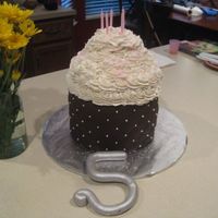 Tessa 5Th Birthday The poor 5 broke after a 3 hour trip in the car. Chocolate fondant, edible pearls and buttercream top. The kids sprinkled pink on top