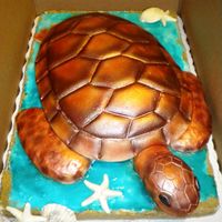 Dscn0441.jpg turtle cake