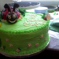 1St Birthday They wanted a lady bug on the cake. but did not want the whole cake to be a lady bug.. Lady bug is made out of RKT, fondant and gumpaste