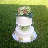 Dscf3909.jpg Demo Cake