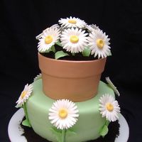 Gerber Daisies And Flower Pot White cake with buttercream frosting, fondant covered and with gumpaste daisies, leaves, stems etc. chocolate cookie dirt. This was a free...
