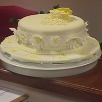 Gumpaste And Fondant Class Final this is the final for my gumpaste and fondant class. I didn't realize that my cake board was a bit larger than my carrier and it...