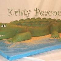 Go Gators Four Foot Gator. Made with creamy white cake and covered in fondant. Would have been easier with an airbrush! I'm getting one soon!...