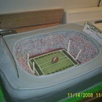 Giants Stadium this was for my brother as my birthday gift to him