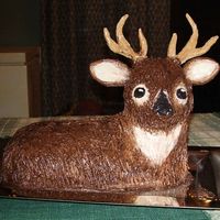 Deer