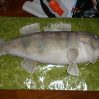 Walleye first fish not as great as i would have liked, but my customer really liked it. my first though is that a fist would be easy but it was a...