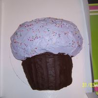 Cupcake Wilton Cupcake Pan...nothing too special!