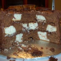 Checkerboard Cake With Chocolate Bc I used the Chicago pan mold to create the checkerboard effect...very easy and eye popping! Thanks for looking!