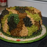 Camoflage Cake I made this for a little boy who is BIG into hunting for his birthday. It's all buttercream