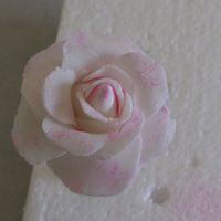 First Gumpaste Rose! This is my first attempt at a gumpaste rose. Didn't turn out too bad, just need to keep on practicing