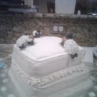 My First Cake Ever!! I tried a cake from a book I purchased. This was my very first cake Ever. Had a lot of issues, but am happy how it turned out. Learned alot...