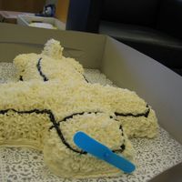 Airplane Airplane made from Wilton cross pan