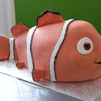 Clown Fish (Aka Nemo) fondant with painted detailing (eye detail, black detail) over carved chocolate cake