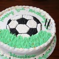 1St Ever Paid Cake I took cake decorating classes last month and got a paid order this week. Had fun with it!